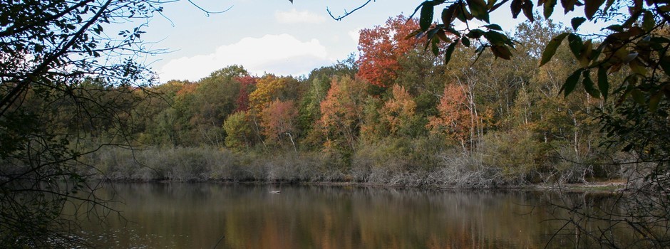 etang-de-sologne.jpg